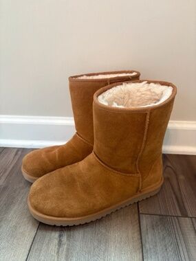 Koolaburra by Ugg Chestnut Boots